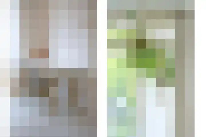 Beverweg 8 B Breda thumbnail 6