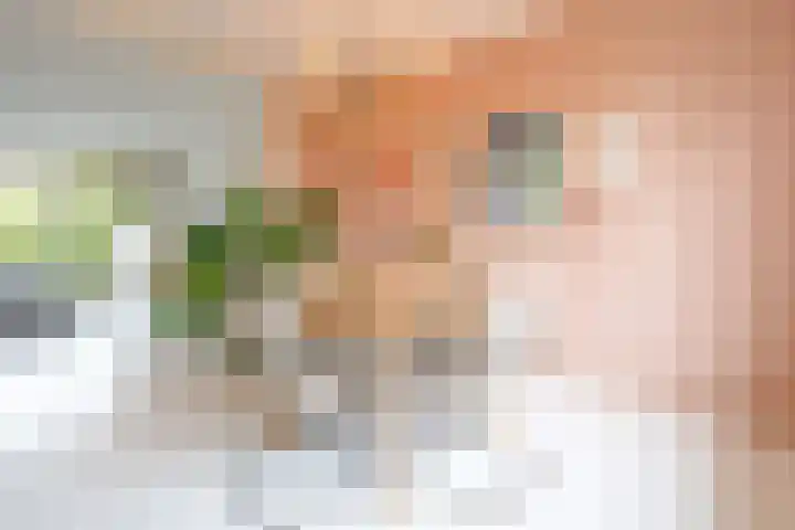 Beverweg 8 B Breda thumbnail 7