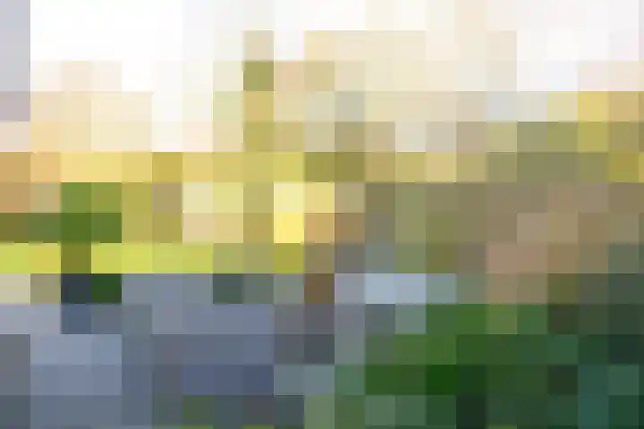 Bevrijdingstraat 4 Almere thumbnail 26