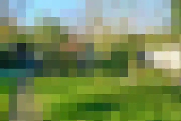 Bevrijdingstraat 4 Almere thumbnail 27