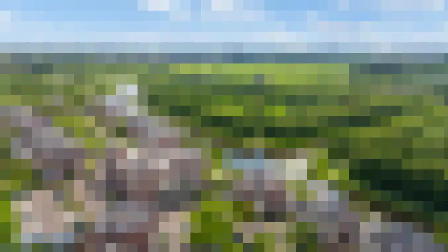 Beyaertlaan 50 Heemskerk thumbnail 63