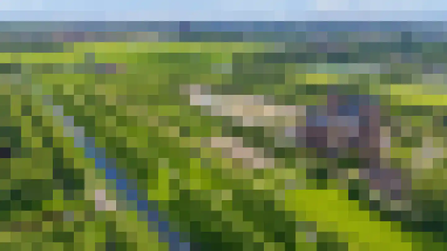 Beyaertlaan 50 Heemskerk thumbnail 69