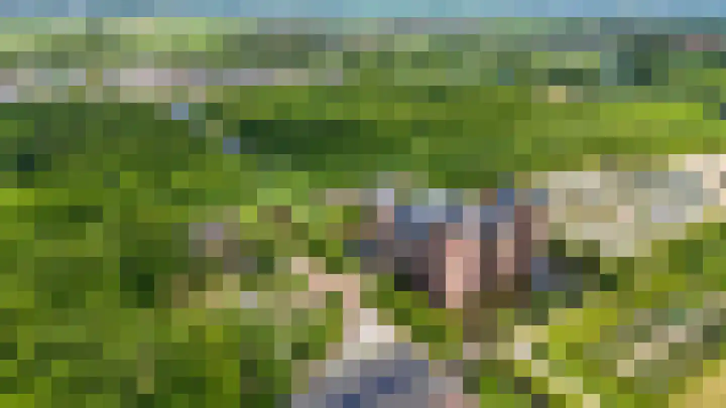 Beyaertlaan 50 Heemskerk thumbnail 70
