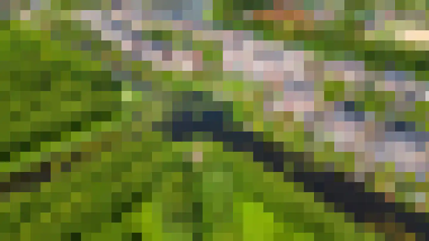 Beyaertlaan 50 Heemskerk thumbnail 72