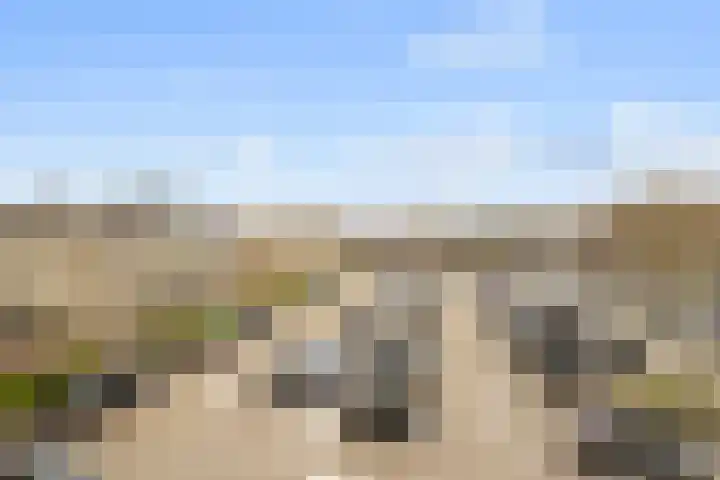 Beyerd 57 Breda thumbnail 25