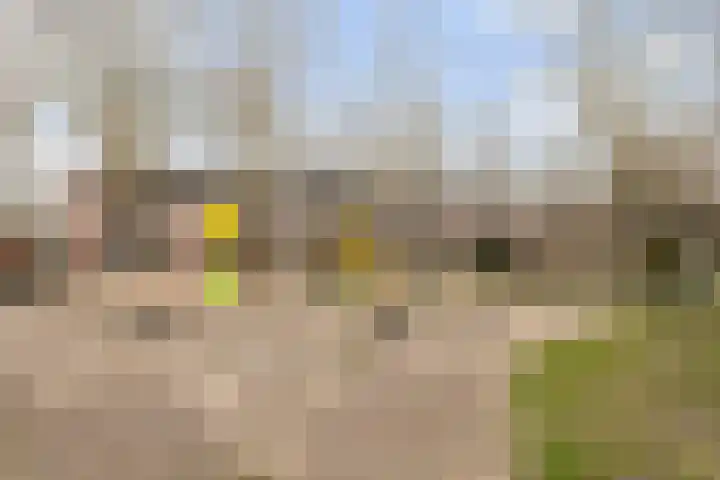 Beyerd 57 Breda thumbnail 29