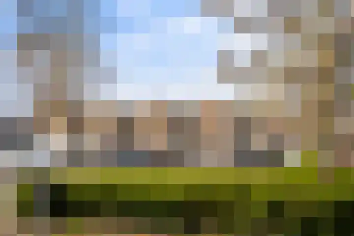 Beyerd 57 Breda thumbnail 32