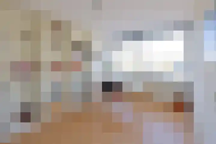 Bezaan 50 Huizen thumbnail 15
