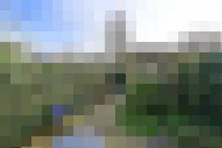 Bezaan 50 Huizen thumbnail 19