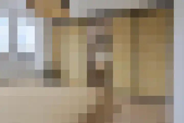 Bezeel 47 Rhoon thumbnail 15