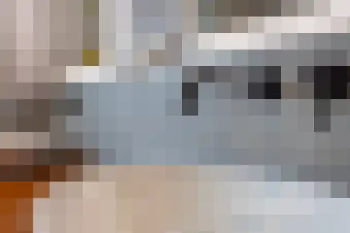 Bezeel 47 Rhoon thumbnail 21