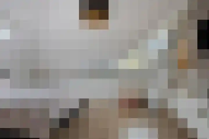 Bezeel 47 Rhoon thumbnail 23