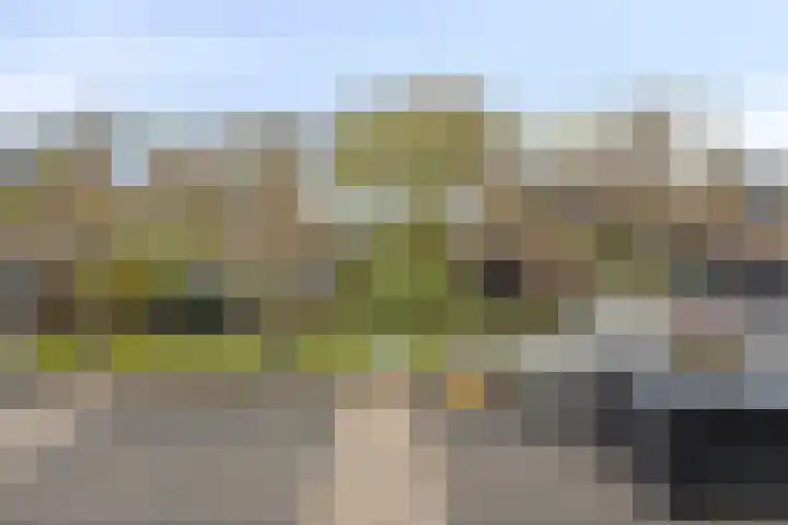 Bezeel 47 Rhoon thumbnail 32