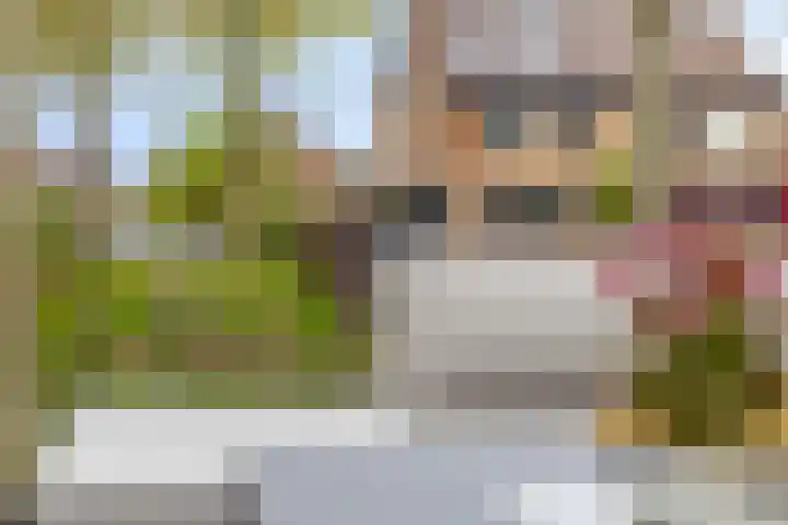 Bezeel 47 Rhoon thumbnail 35