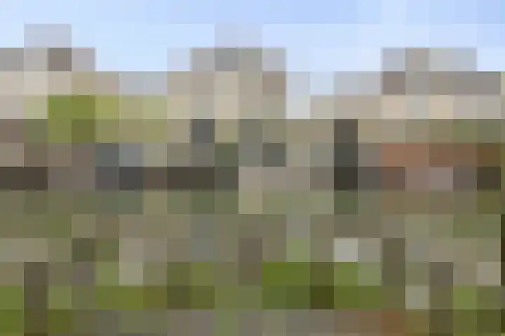 Bezeel 47 Rhoon thumbnail 40
