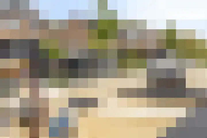 Bezeel 47 Rhoon thumbnail 41