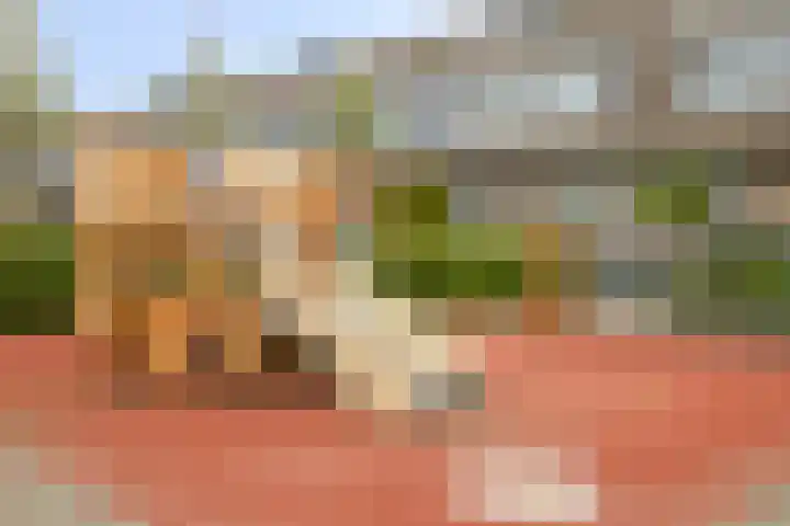 Bezeel 47 Rhoon thumbnail 42