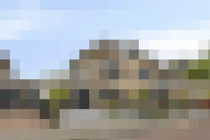 Bezeel 47 Rhoon thumbnail 44