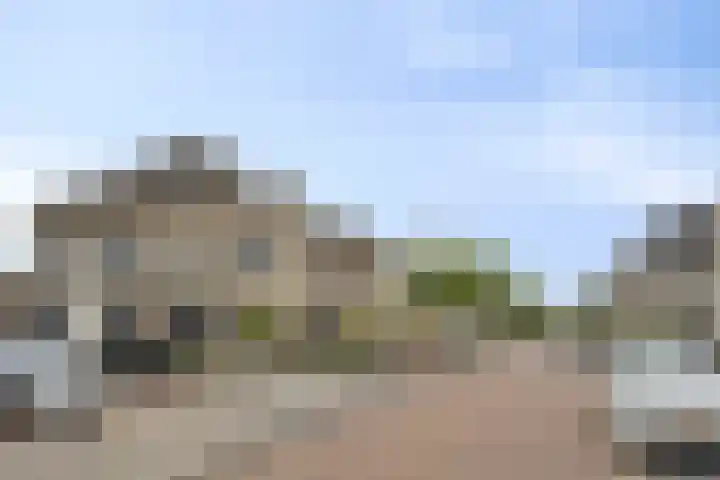 Bezeel 47 Rhoon thumbnail 45