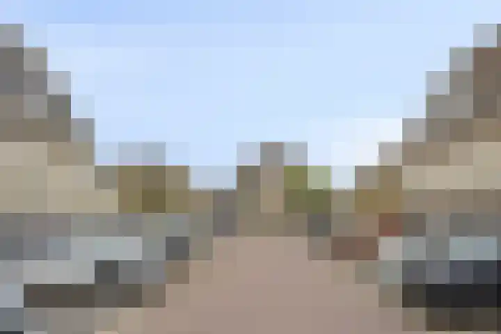 Bezeel 47 Rhoon thumbnail 46