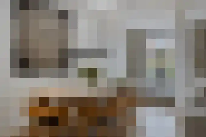 Bezeel 47 Rhoon thumbnail 5