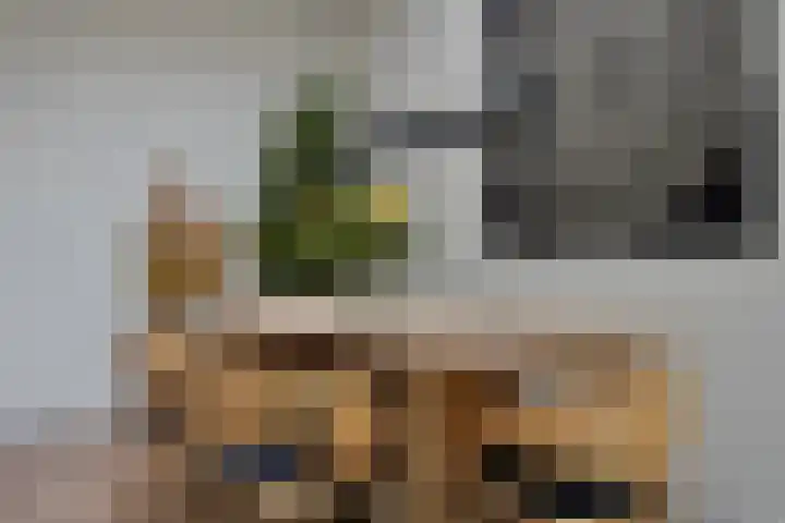 Bezeel 47 Rhoon thumbnail 6