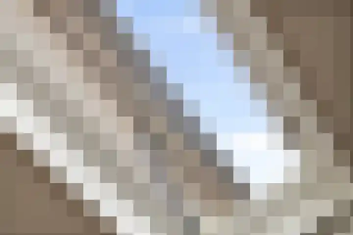 Bezeel 47 Rhoon thumbnail 7