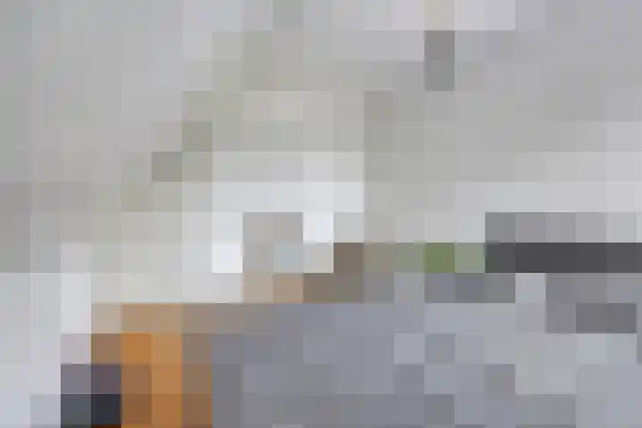 Bezembinder 44 Groesbeek thumbnail 15