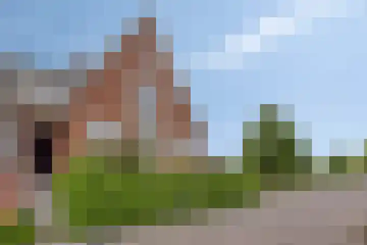 Bezembinder 44 Groesbeek thumbnail 21