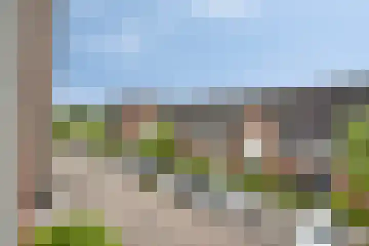 Bezembinder 44 Groesbeek thumbnail 23