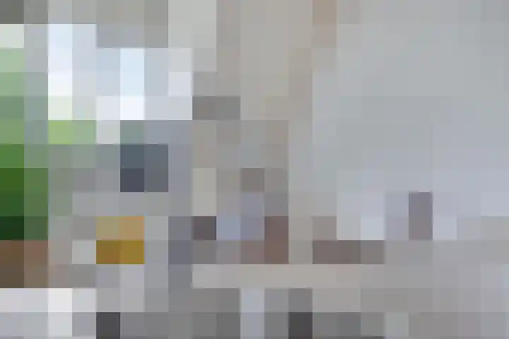 Bezembinder 44 Groesbeek thumbnail 7