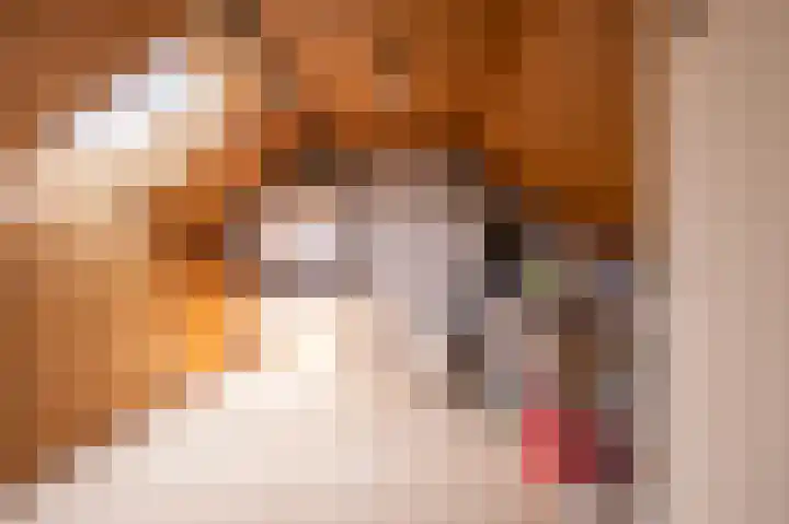 Bezembinderspad 4 Amsterdam thumbnail 21