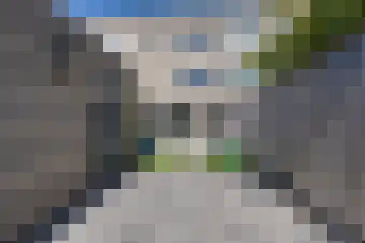 Bezembinderspad 4 Amsterdam thumbnail 24