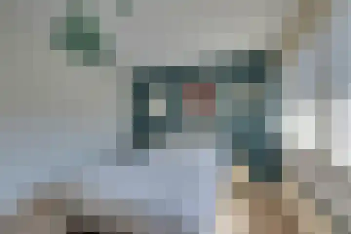 Bezembinderspad 4 Amsterdam thumbnail 30