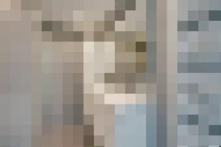 Bezembinderspad 4 Amsterdam thumbnail 38
