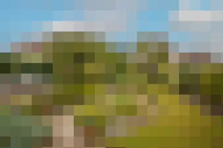 Bezembinderspad 4 Amsterdam thumbnail 4