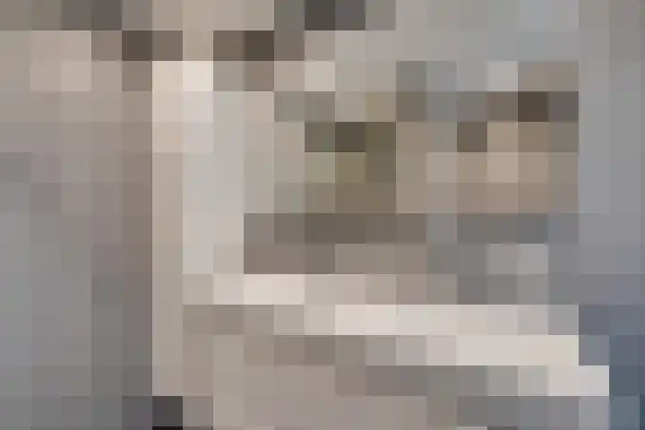 Bezembinderspad 4 Amsterdam thumbnail 40