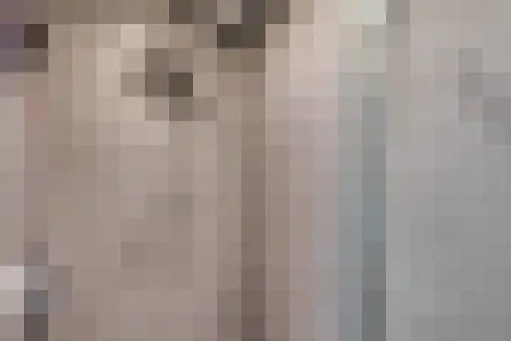 Bezembinderspad 4 Amsterdam thumbnail 41