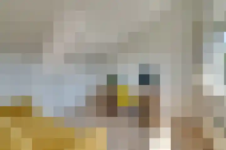 Bezembinderspad 4 Amsterdam thumbnail 42