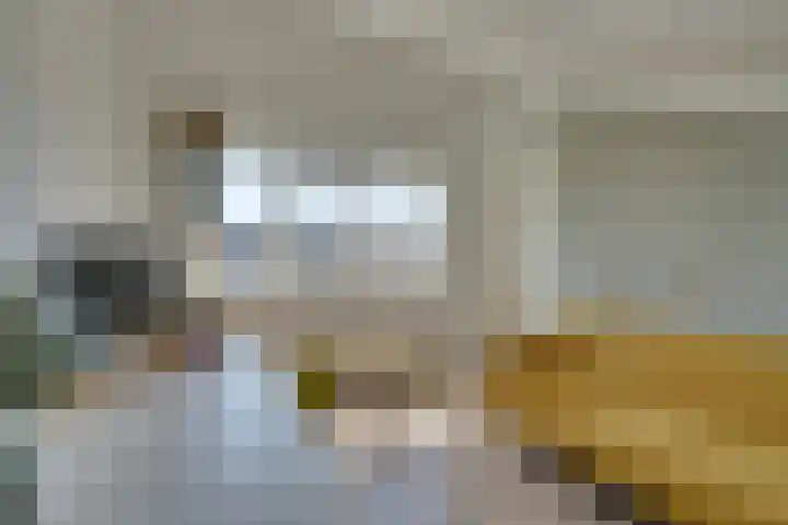Bezembinderspad 4 Amsterdam thumbnail 43