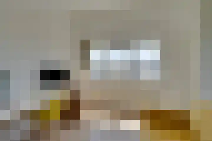Bezembinderspad 4 Amsterdam thumbnail 44