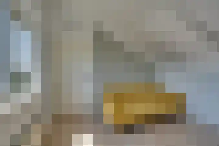 Bezembinderspad 4 Amsterdam thumbnail 45