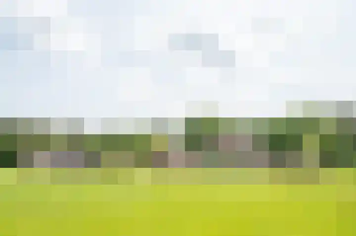 Bielemansdijk 12 Zelhem thumbnail 10