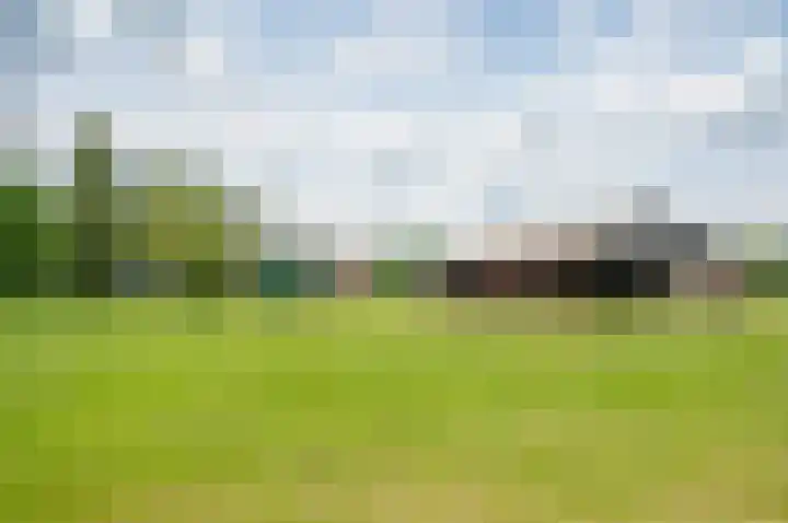 Bielemansdijk 12 Zelhem thumbnail 15