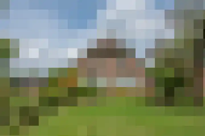 Bielemansdijk 12 Zelhem thumbnail 8