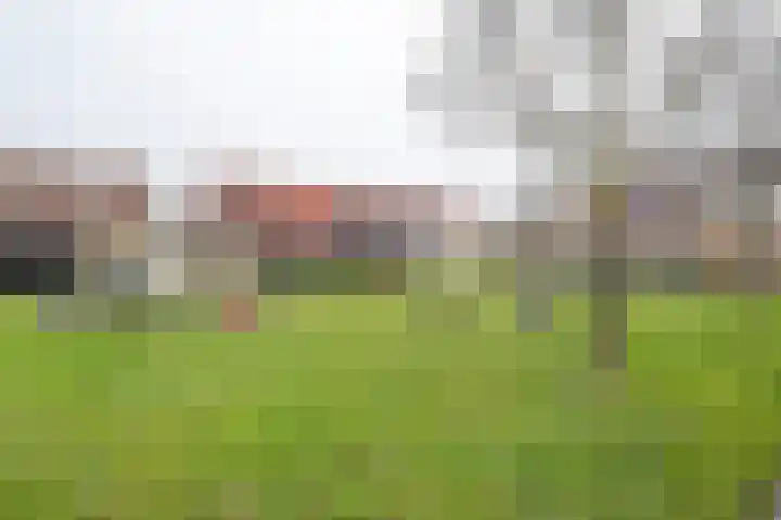 Bieningen 18 Ouddorp thumbnail 34