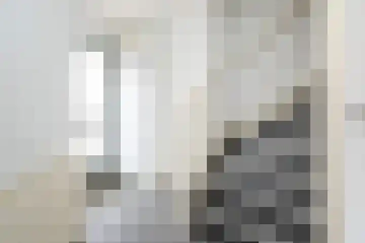 Bieningen 18 Ouddorp thumbnail 7