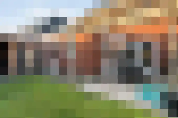 Bierbrouwerweg 18 Dalfsen thumbnail 37