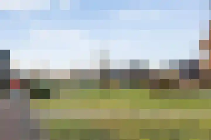 Bierbrouwerweg 18 Dalfsen thumbnail 43