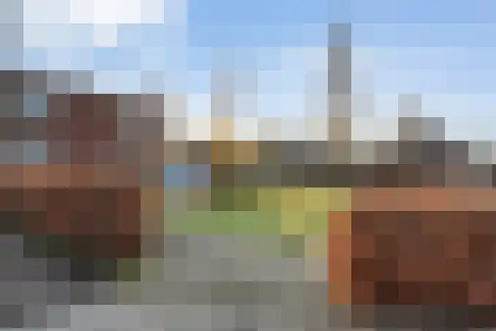 Bierbrouwerweg 18 Dalfsen thumbnail 44